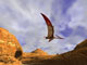 Amazing flight through a canyon with pterodactyl in full 3D