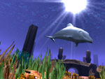 3D Wild Dolphin Screensaver  Screenshot #3