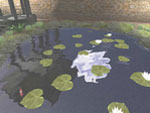 Lovely Pond 3D Screensaver  Screenshot #2