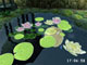 Enjoy realistic 3D World Full of Wonders! Bring more harmony to your life! Wonderful relaxing 3D nature scenes.