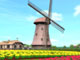 Windmill 3D Screensaver - Peaceful beauty of the countryside setting